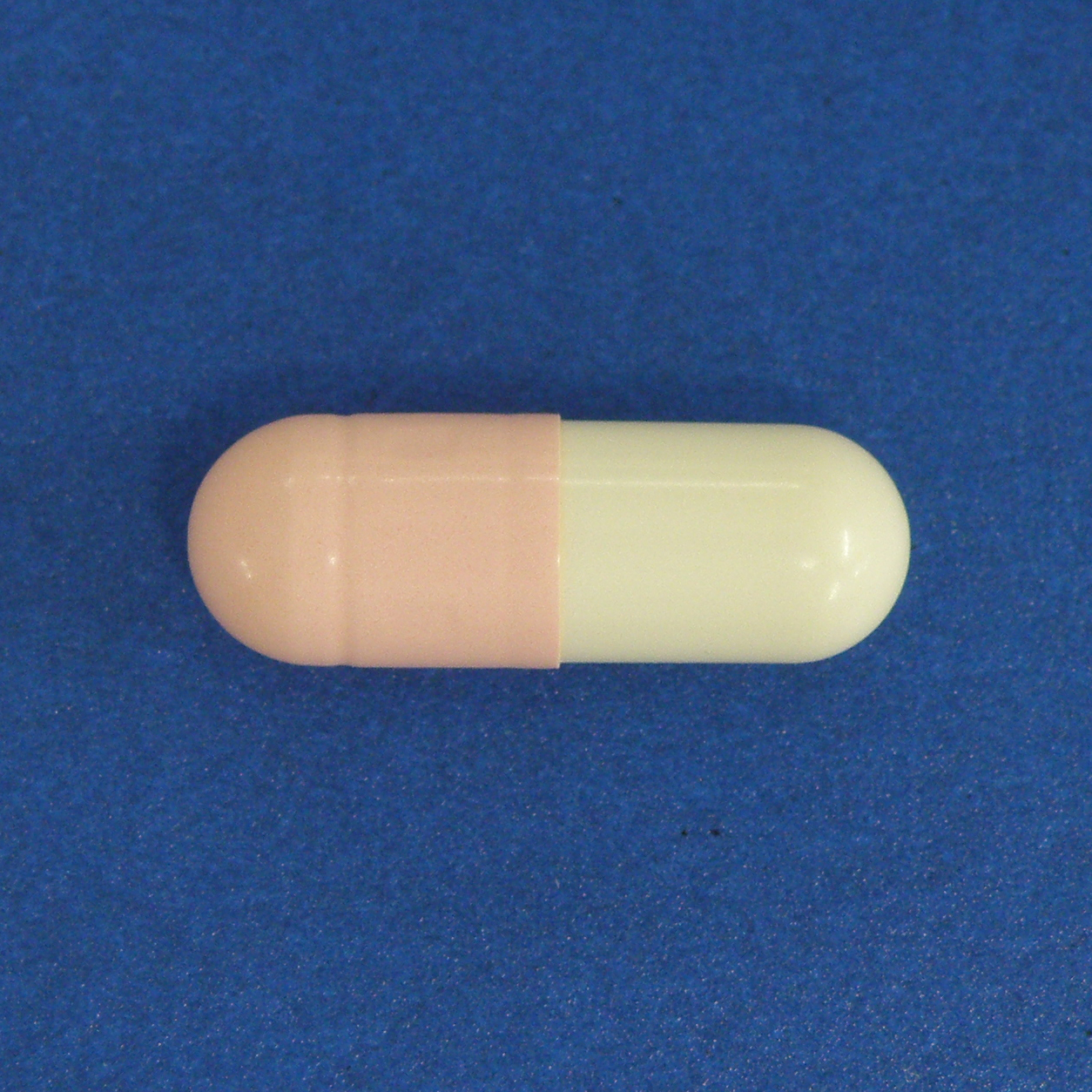 剤型